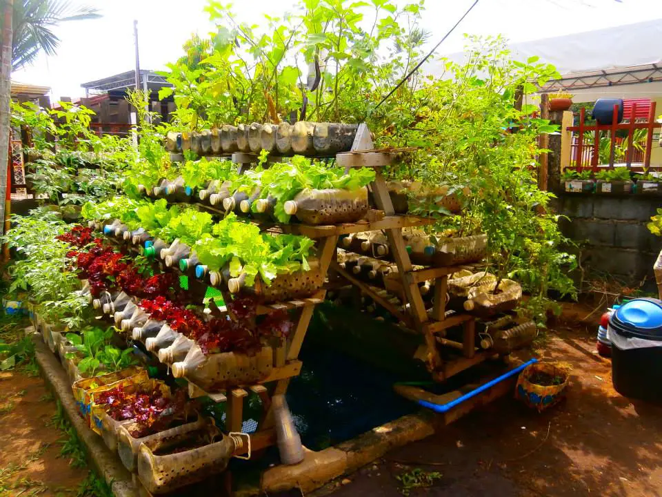 vegetable gardening download