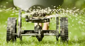 Overseeding after aeration - best way to aerate lawn