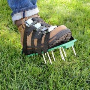 aerator shows - best way to aerate lawn