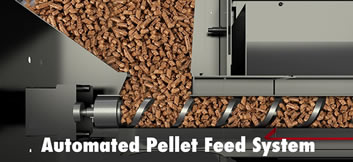 automated pellet feed system