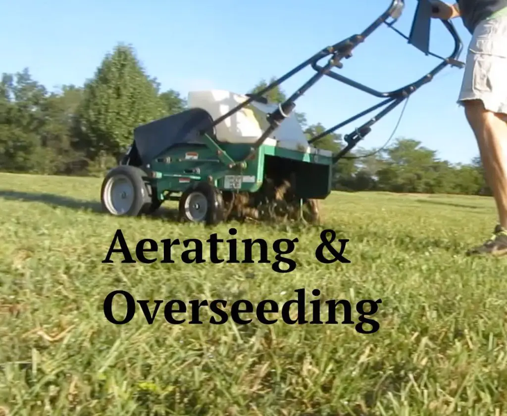 Best Time To Aerate And Overseed Lawn For Best Results How Does Your