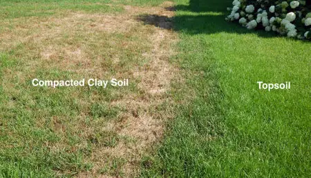 compacted soil effects - best time to aerate and overseed