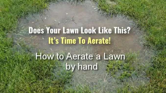 How To Aerate A Lawn By Hand No Machine Lawn Aeration,Chow Chow Relish Kroger