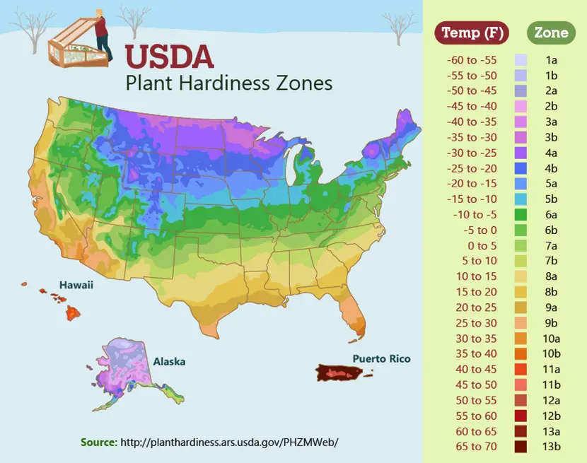 Winter Gardening For Beginners How Does Your Garden Mow Winter Gardening For Beginners How Does Your Garden Mow