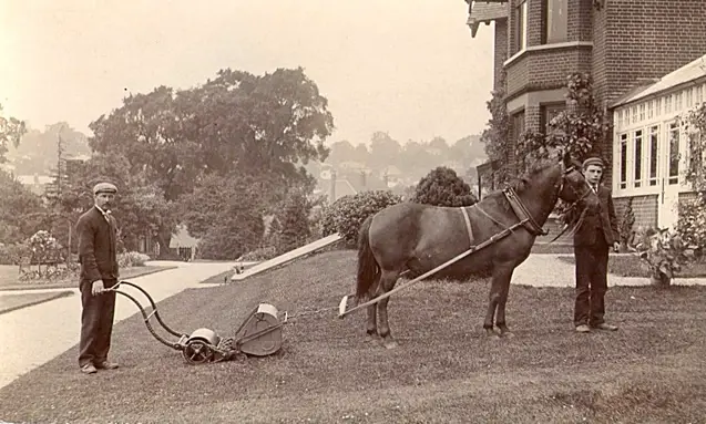 victorian photo of horse pulling lawn mower