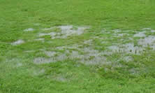 waterlogged lawn - best time to aerate and overseed