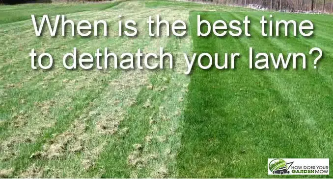 When Is The Best Time To Dethatch Your Lawn How Does Your Garden Mow